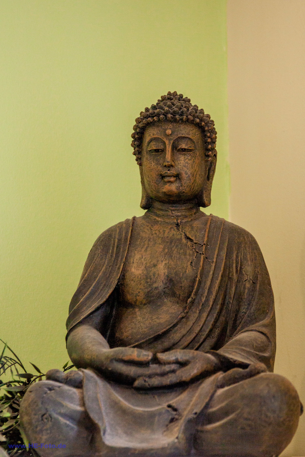 Galerie Image 3